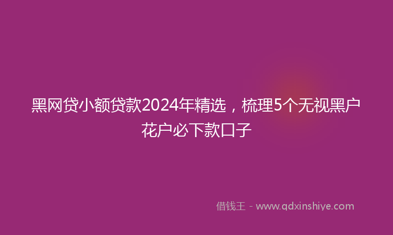 黑网贷小额贷款2024年精选，梳理5个无视黑户花户必下款口子