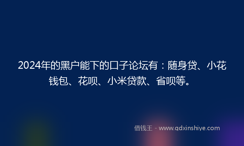 2024年的黑户能下的口子论坛有：随身贷、小花钱包、花呗、小米贷款、省呗等。