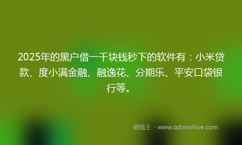 2025年的黑户借一千块钱秒下的软件有：小米贷款、度小满金融、融逸花、分期乐、平安口袋银行等。