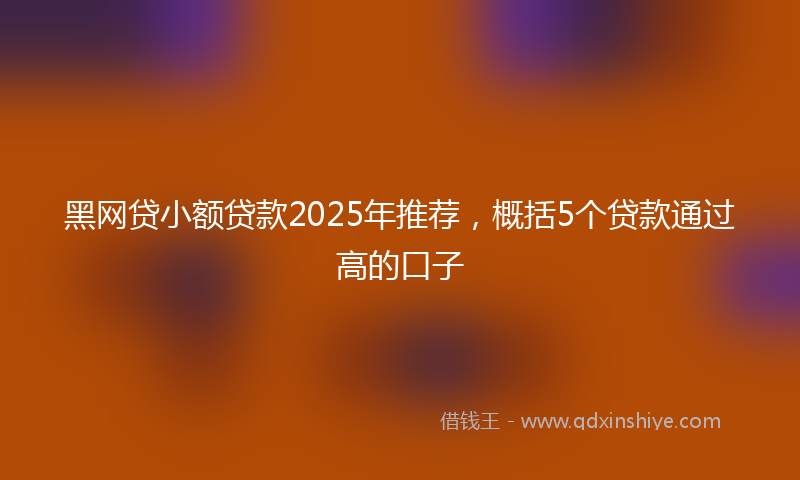 黑网贷小额贷款2025年推荐，概括5个贷款通过高的口子