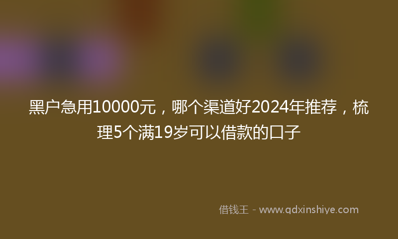 黑户急用10000元，哪个渠道好2024年推荐，梳理5个满19岁可以借款的口子