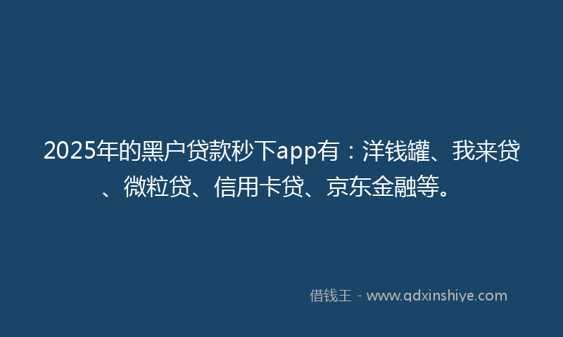2025年的黑户贷款秒下app有：洋钱罐、我来贷、微粒贷、信用卡贷、京东金融等。