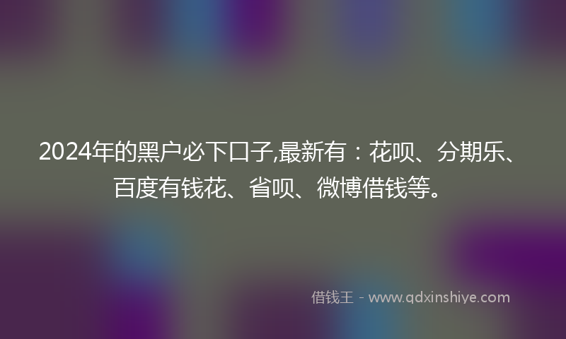 2024年的黑户必下口子,最新有：花呗、分期乐、百度有钱花、省呗、微博借钱等。