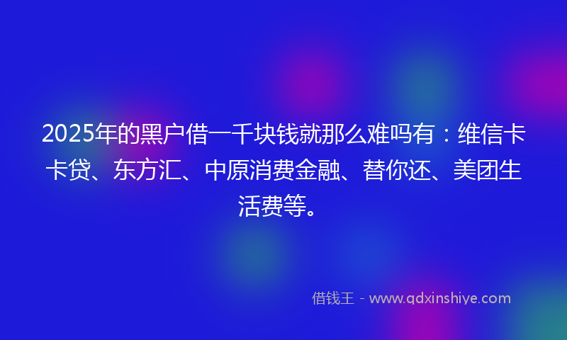 2025年的黑户借一千块钱就那么难吗有：维信卡卡贷、东方汇、中原消费金融、替你还、美团生活费等。