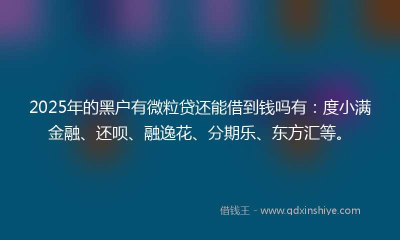 2025年的黑户有微粒贷还能借到钱吗有：度小满金融、还呗、融逸花、分期乐、东方汇等。