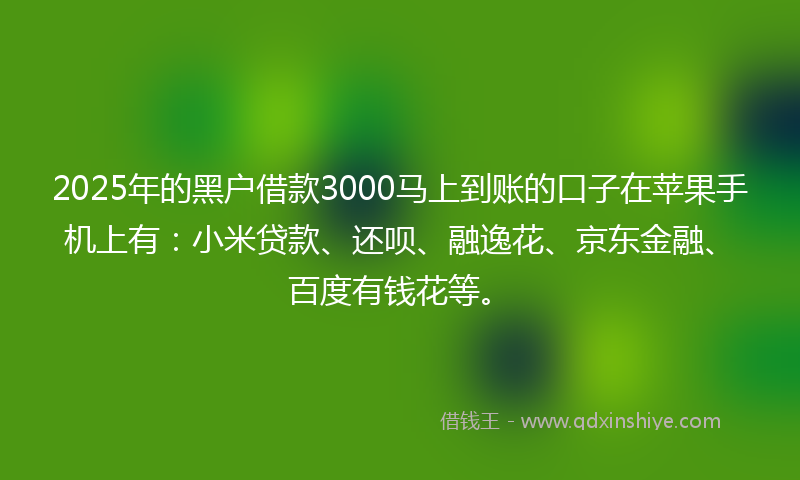2025年的黑户借款3000马上到账的口子在苹果手机上有：小米贷款、还呗、融逸花、京东金融、百度有钱花等。
