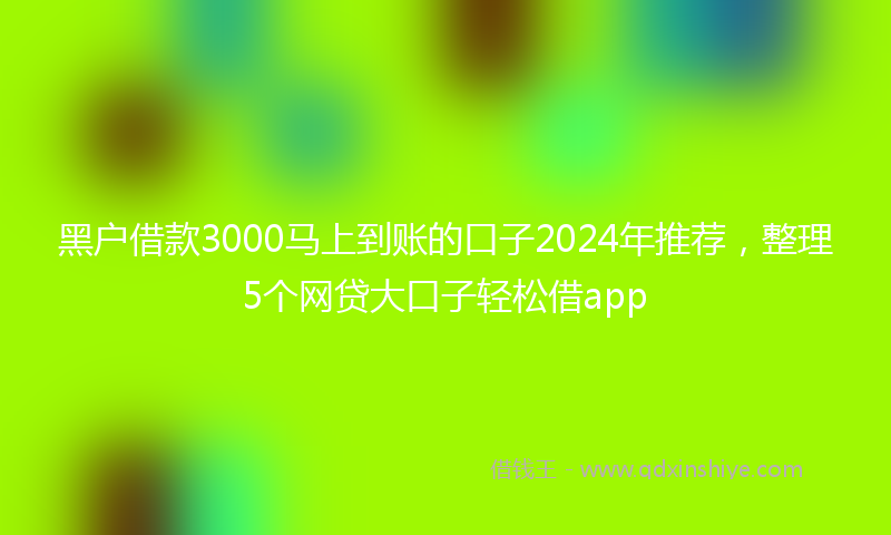 黑户借款3000马上到账的口子2024年推荐，整理5个网贷大口子轻松借app