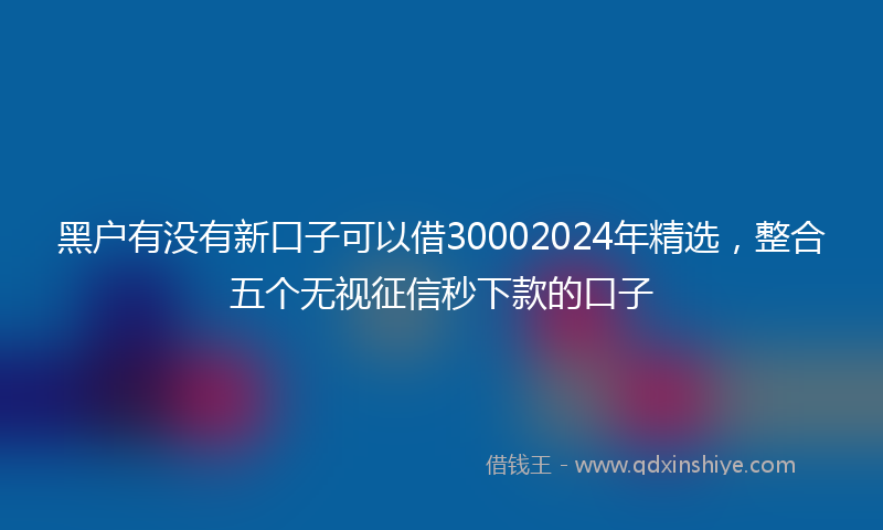 黑户有没有新口子可以借30002024年精选，整合五个无视征信秒下款的口子