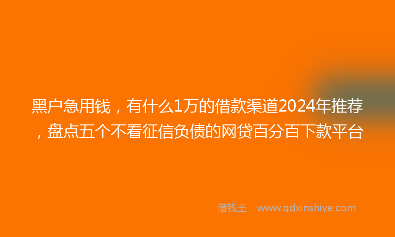 黑户急用钱，有什么1万的借款渠道2024年推荐，盘点五个不看征信负债的网贷百分百下款平台