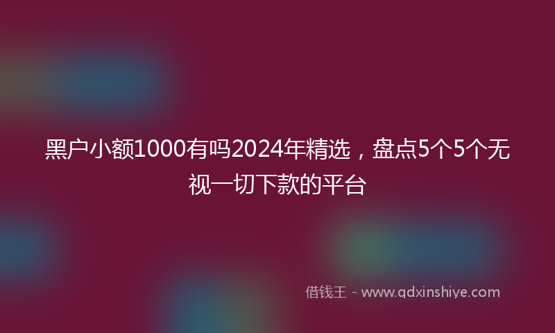 黑户小额1000有吗2024年精选，盘点5个5个无视一切下款的平台