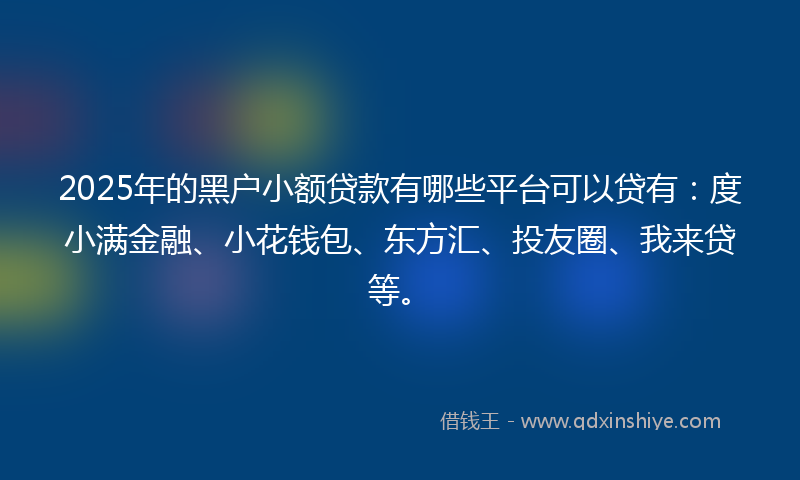 2025年的黑户小额贷款有哪些平台可以贷有：度小满金融、小花钱包、东方汇、投友圈、我来贷等。