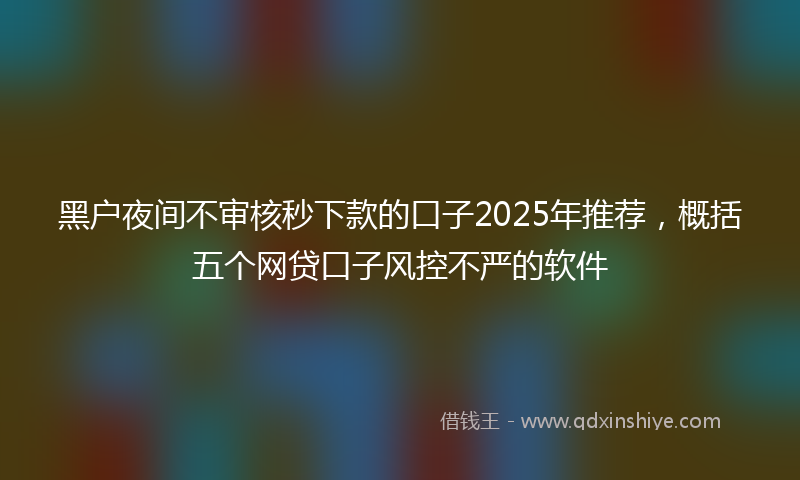 黑户夜间不审核秒下款的口子2025年推荐，概括五个网贷口子风控不严的软件