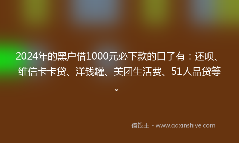 2024年的黑户借1000元必下款的口子有：还呗、维信卡卡贷、洋钱罐、美团生活费、51人品贷等。