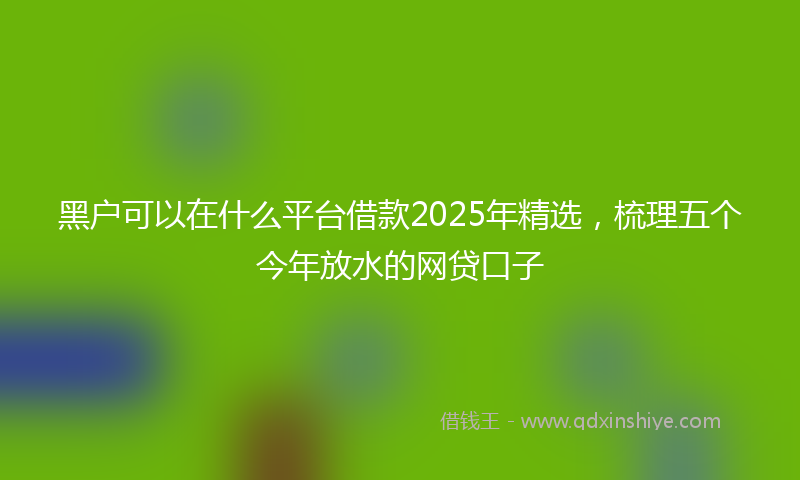 黑户可以在什么平台借款2025年精选，梳理五个今年放水的网贷口子