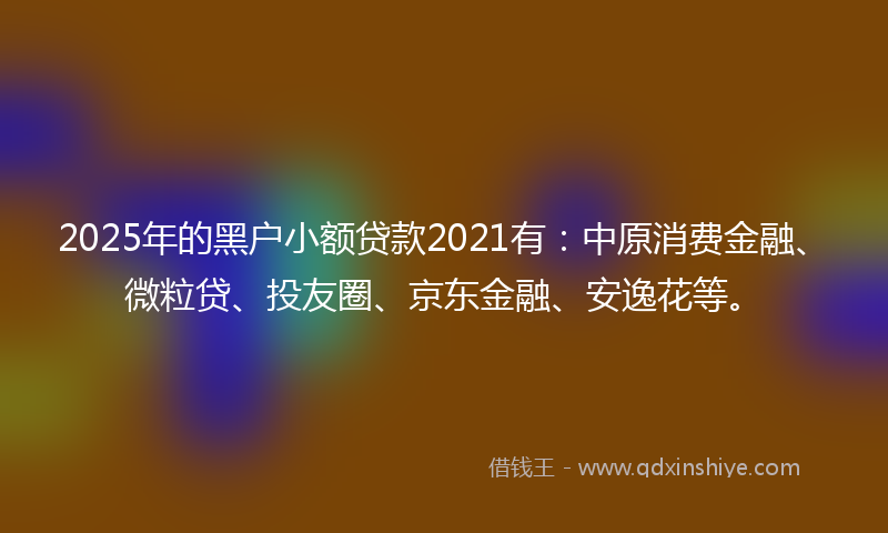 2025年的黑户小额贷款2021有：中原消费金融、微粒贷、投友圈、京东金融、安逸花等。