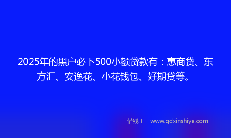 2025年的黑户必下500小额贷款有：惠商贷、东方汇、安逸花、小花钱包、好期贷等。