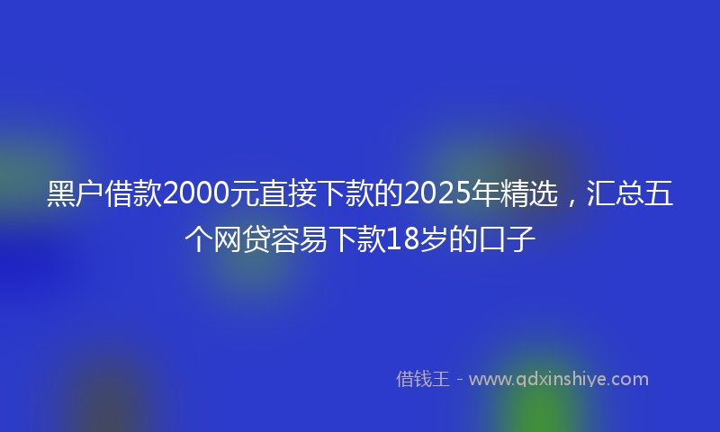 黑户借款2000元直接下款的2025年精选，汇总五个网贷容易下款18岁的口子