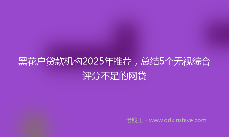 黑花户贷款机构2025年推荐，总结5个无视综合评分不足的网贷