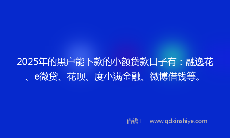 2025年的黑户能下款的小额贷款口子有：融逸花、e微贷、花呗、度小满金融、微博借钱等。