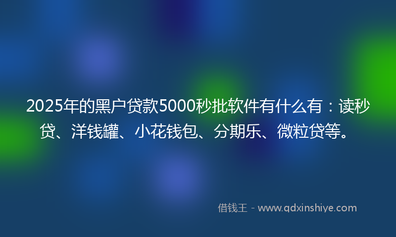 2025年的黑户贷款5000秒批软件有什么有：读秒贷、洋钱罐、小花钱包、分期乐、微粒贷等。