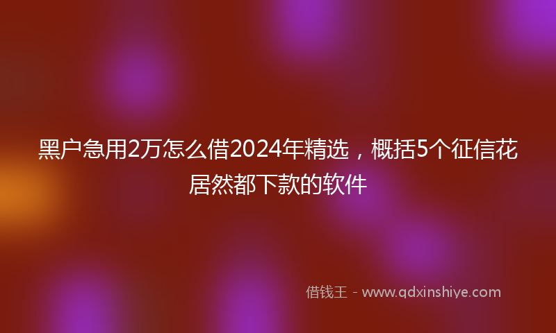 黑户急用2万怎么借2024年精选，概括5个征信花居然都下款的软件