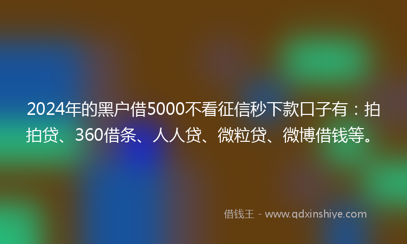 2024年的黑户借5000不看征信秒下款口子有：拍拍贷、360借条、人人贷、微粒贷、微博借钱等。