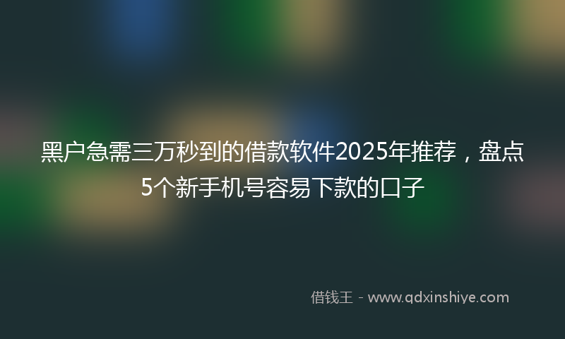 黑户急需三万秒到的借款软件2025年推荐，盘点5个新手机号容易下款的口子