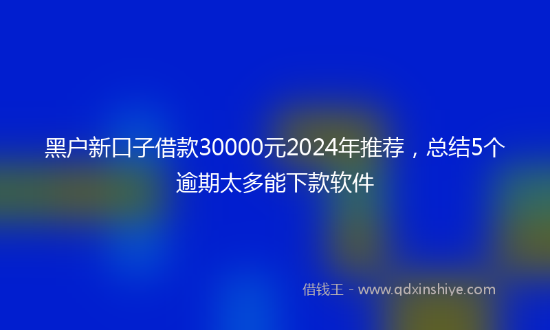 黑户新口子借款30000元2024年推荐，总结5个逾期太多能下款软件