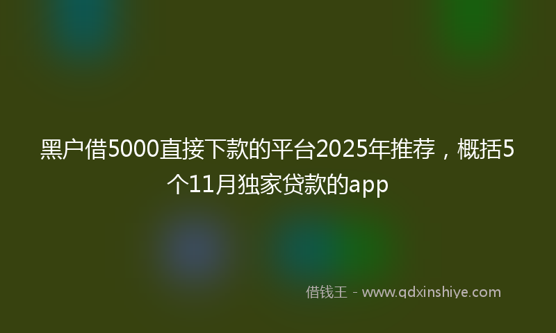 黑户借5000直接下款的平台2025年推荐，概括5个11月独家贷款的app