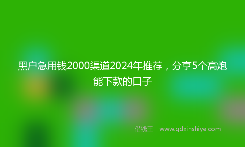 黑户急用钱2000渠道2024年推荐，分享5个高炮能下款的口子