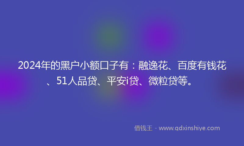 2024年的黑户小额口子有：融逸花、百度有钱花、51人品贷、平安i贷、微粒贷等。