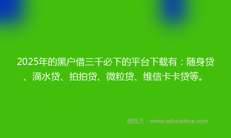 2025年的黑户借三千必下的平台下载有：随身贷、滴水贷、拍拍贷、微粒贷、维信卡卡贷等。