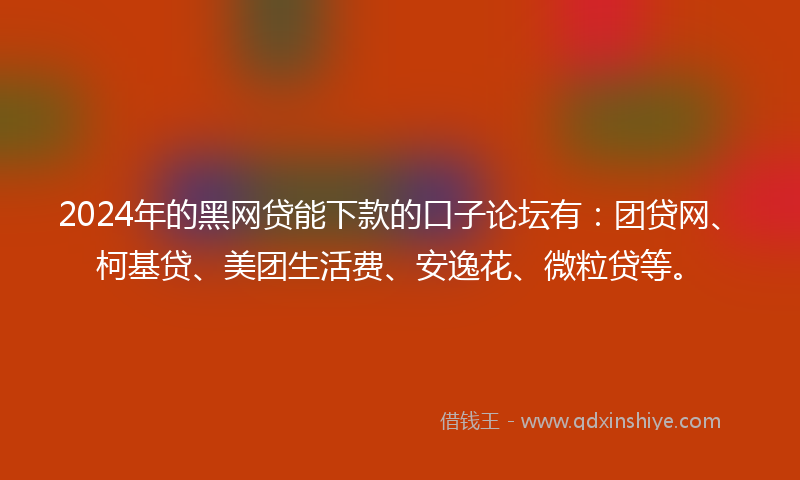 2024年的黑网贷能下款的口子论坛有：团贷网、柯基贷、美团生活费、安逸花、微粒贷等。