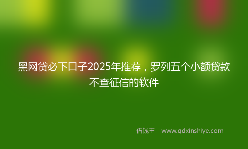 黑网贷必下口子2025年推荐，罗列五个小额贷款不查征信的软件