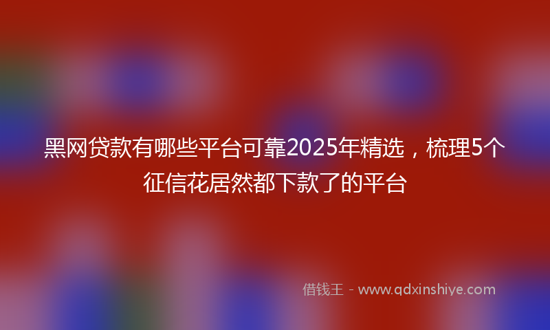 黑网贷款有哪些平台可靠2025年精选，梳理5个征信花居然都下款了的平台