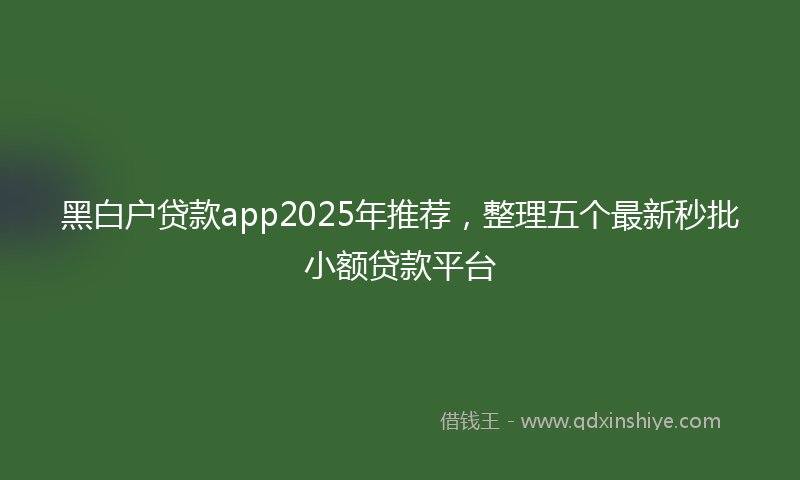 黑白户贷款app2025年推荐，整理五个最新秒批小额贷款平台
