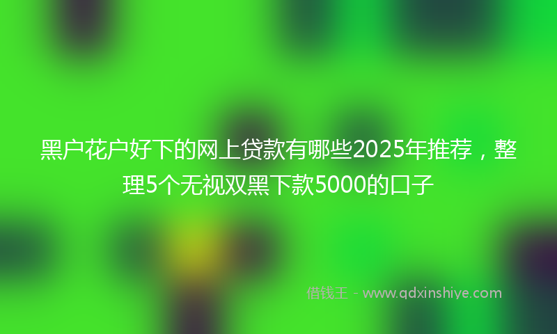 黑户花户好下的网上贷款有哪些2025年推荐，整理5个无视双黑下款5000的口子