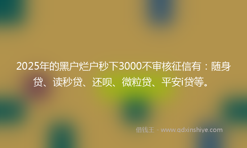 2025年的黑户烂户秒下3000不审核征信有：随身贷、读秒贷、还呗、微粒贷、平安i贷等。
