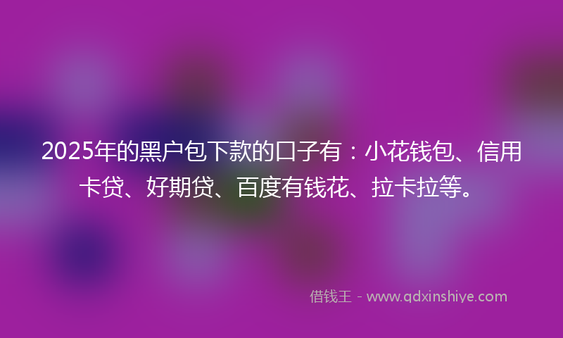 2025年的黑户包下款的口子有：小花钱包、信用卡贷、好期贷、百度有钱花、拉卡拉等。