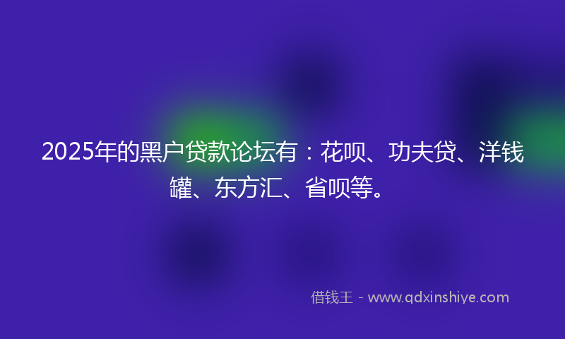 2025年的黑户贷款论坛有：花呗、功夫贷、洋钱罐、东方汇、省呗等。