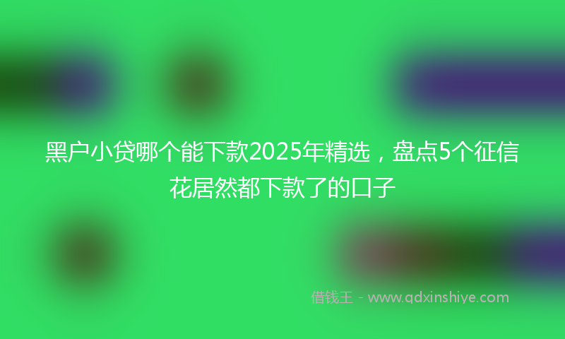 黑户小贷哪个能下款2025年精选，盘点5个征信花居然都下款了的口子