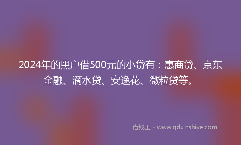 2024年的黑户借500元的小贷有：惠商贷、京东金融、滴水贷、安逸花、微粒贷等。