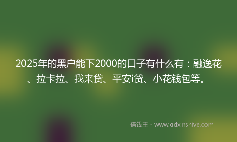 2025年的黑户能下2000的口子有什么有：融逸花、拉卡拉、我来贷、平安i贷、小花钱包等。