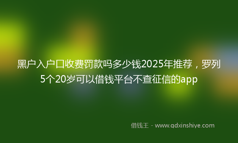 黑户入户口收费罚款吗多少钱2025年推荐，罗列5个20岁可以借钱平台不查征信的app