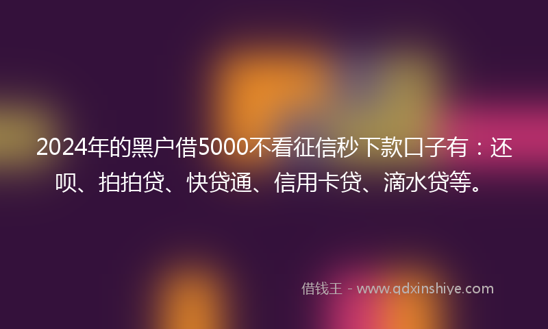 2024年的黑户借5000不看征信秒下款口子有：还呗、拍拍贷、快贷通、信用卡贷、滴水贷等。