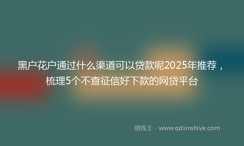 黑户花户通过什么渠道可以贷款呢2025年推荐，梳理5个不查征信好下款的网贷平台