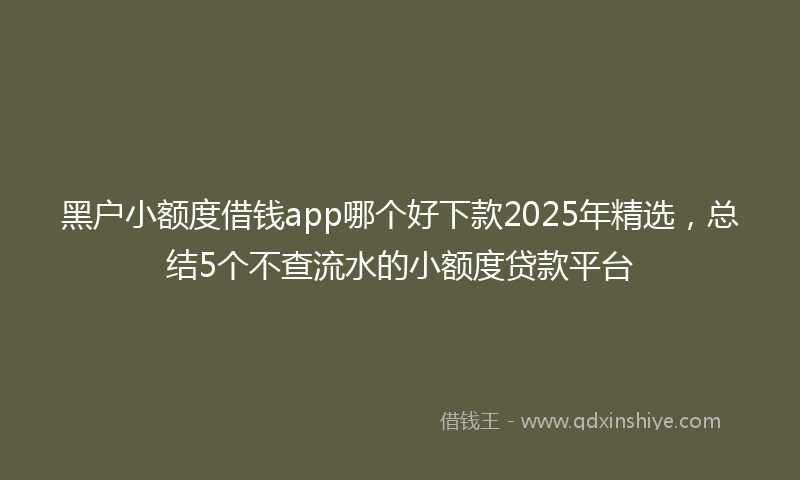 黑户小额度借钱app哪个好下款2025年精选，总结5个不查流水的小额度贷款平台