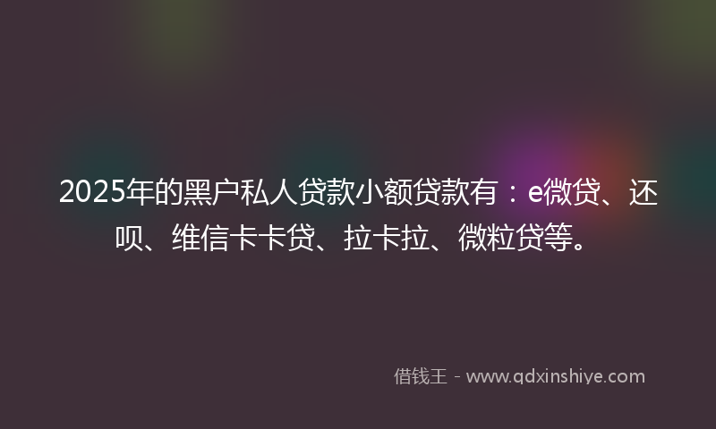 2025年的黑户私人贷款小额贷款有：e微贷、还呗、维信卡卡贷、拉卡拉、微粒贷等。