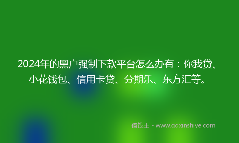 2024年的黑户强制下款平台怎么办有：你我贷、小花钱包、信用卡贷、分期乐、东方汇等。
