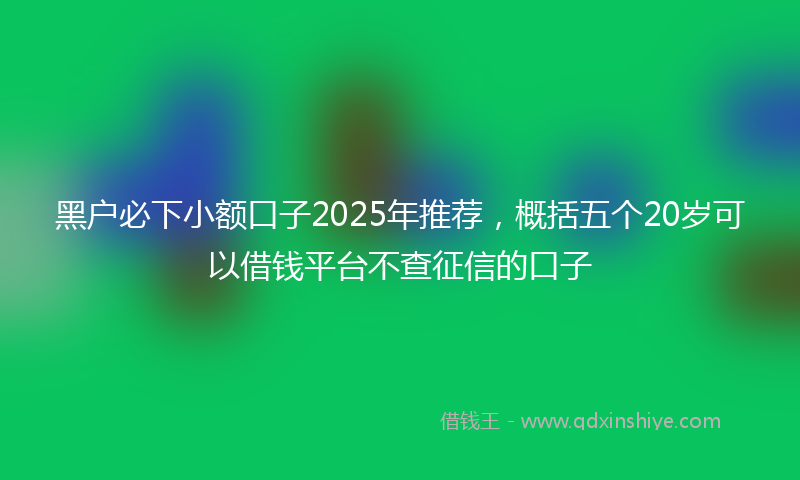 黑户必下小额口子2025年推荐，概括五个20岁可以借钱平台不查征信的口子
